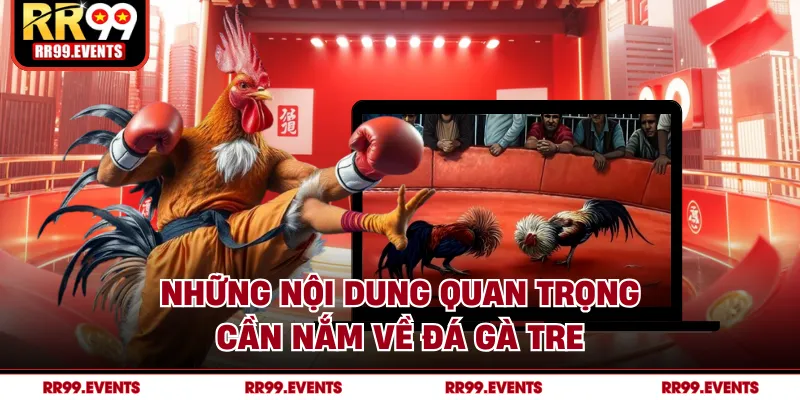 Những nội dung quan trọng cần nắm về đá gà tre